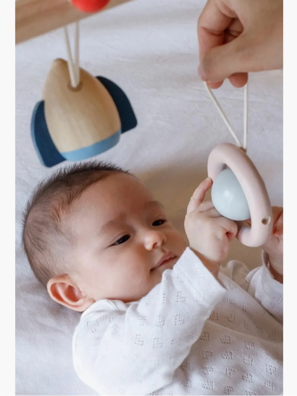 Plantoys currently sells
